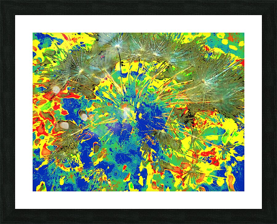Abstract Colourful Dandelion Seeds  Picture Frame print
