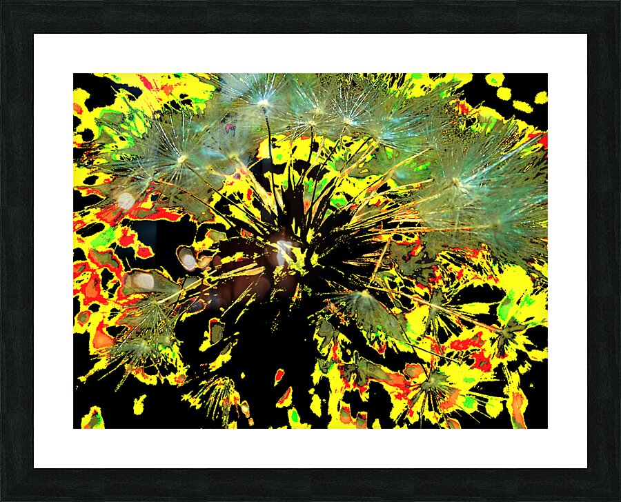 Bright Abstract Dandelion Clock Picture Frame print