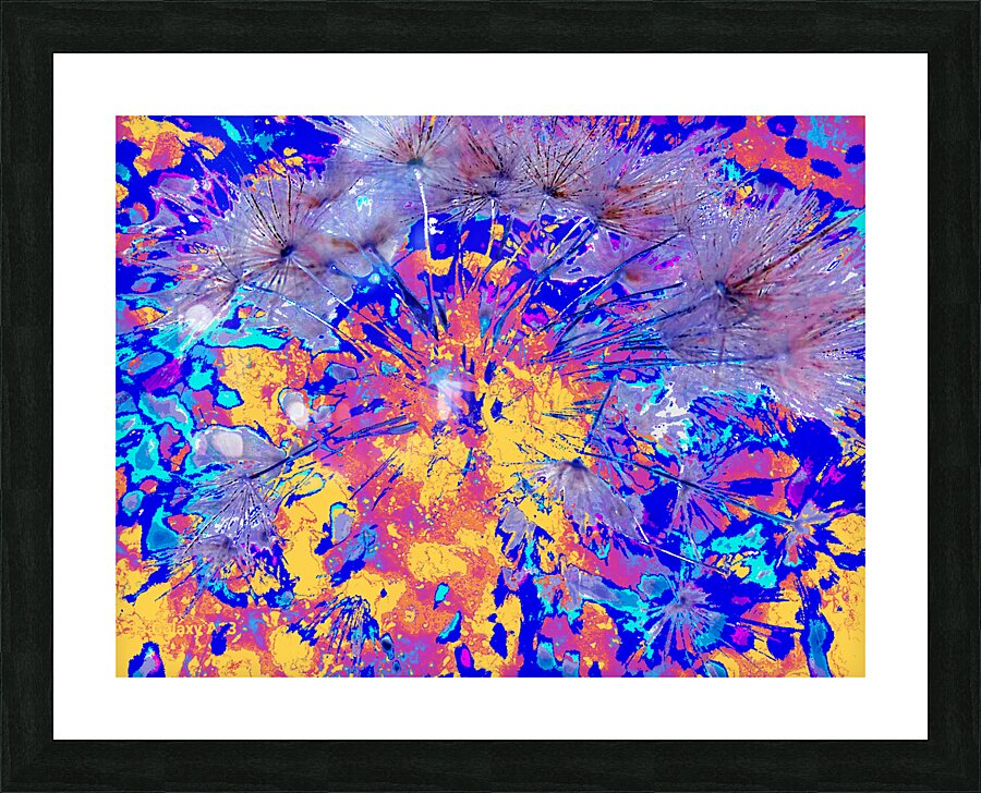 Vibrant Abstract Dandelion Seeds   Picture Frame print