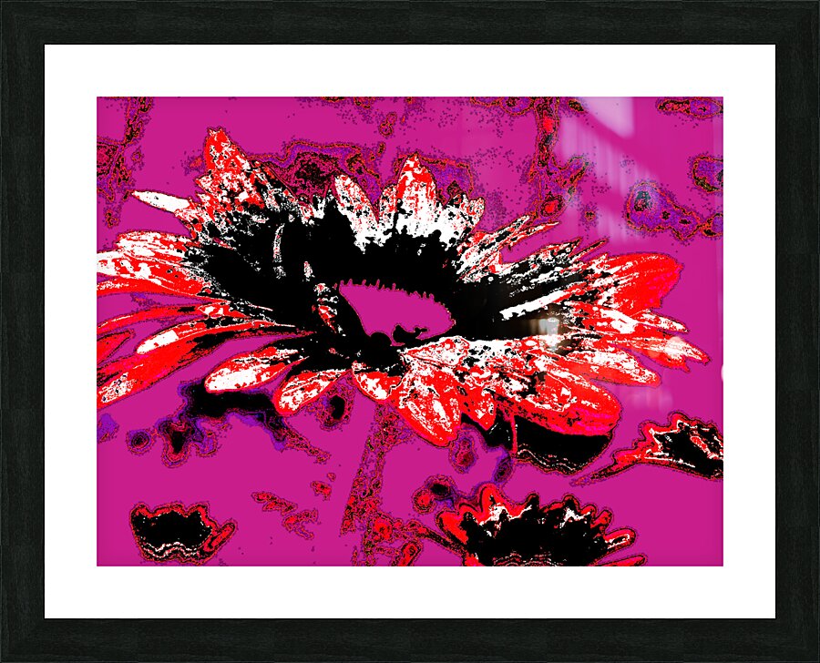 Abstract Red and Black Daisy Flower Picture Frame print