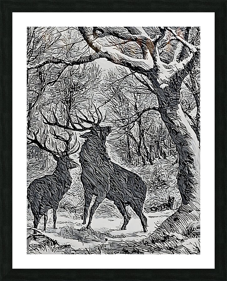  Fine Art print