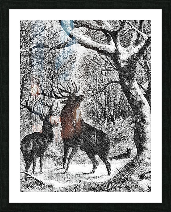  Fine Art print