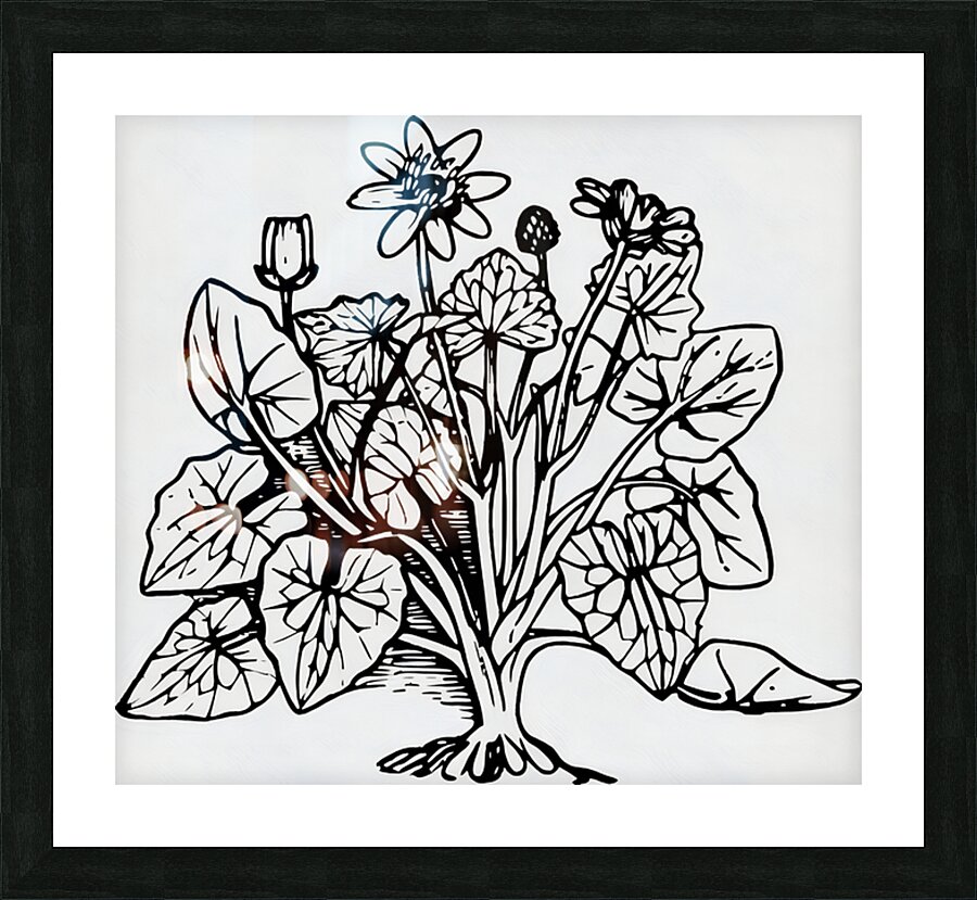  Fine Art print