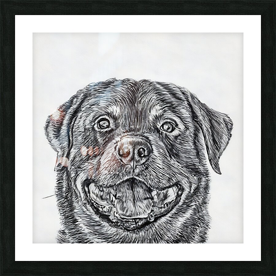  Fine Art print