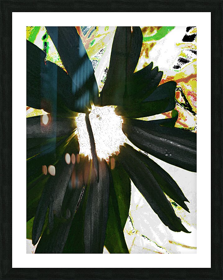 Abstract Dark Daisy  Picture Frame print