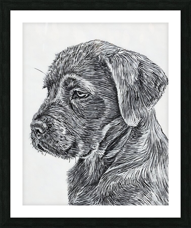  Fine Art print
