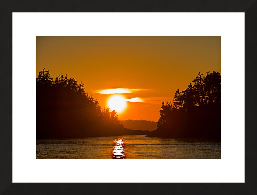 Sunlit Passage  Framed Print Print