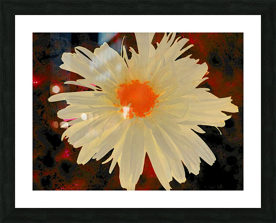 Abstract Orange Daisy with Abstract Background Picture Frame print