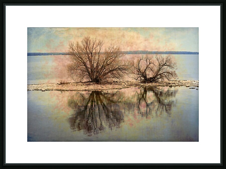 A Vision in Lake Ontario Picture Frame print