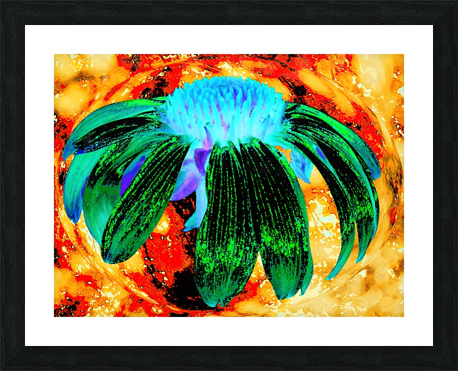 Abstract Green Cone Flower Too on an Orange Abstract Background  Picture Frame print