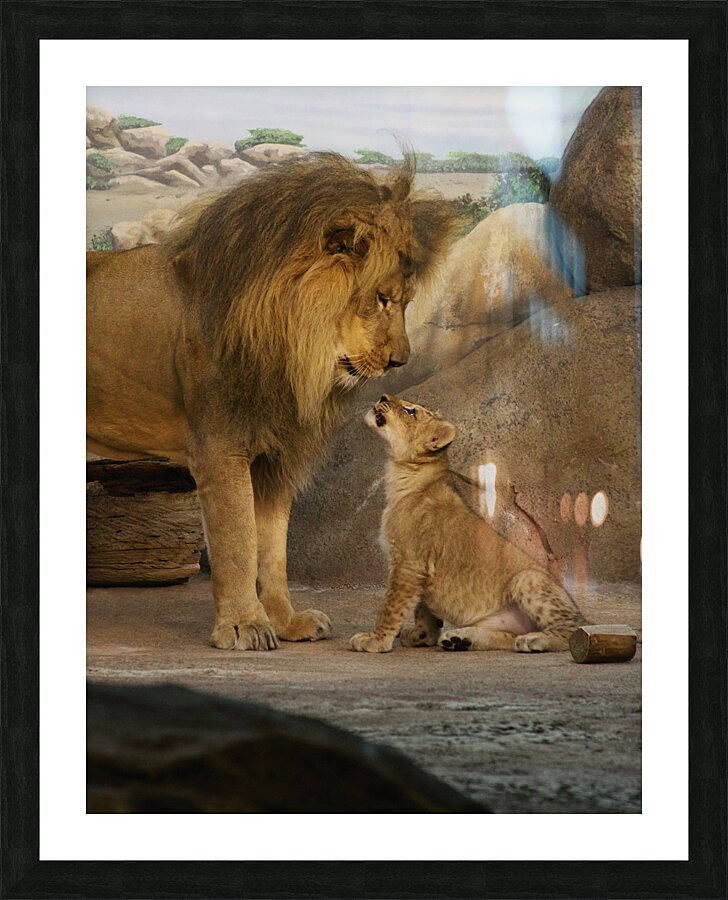 Past and Future King Picture Frame print