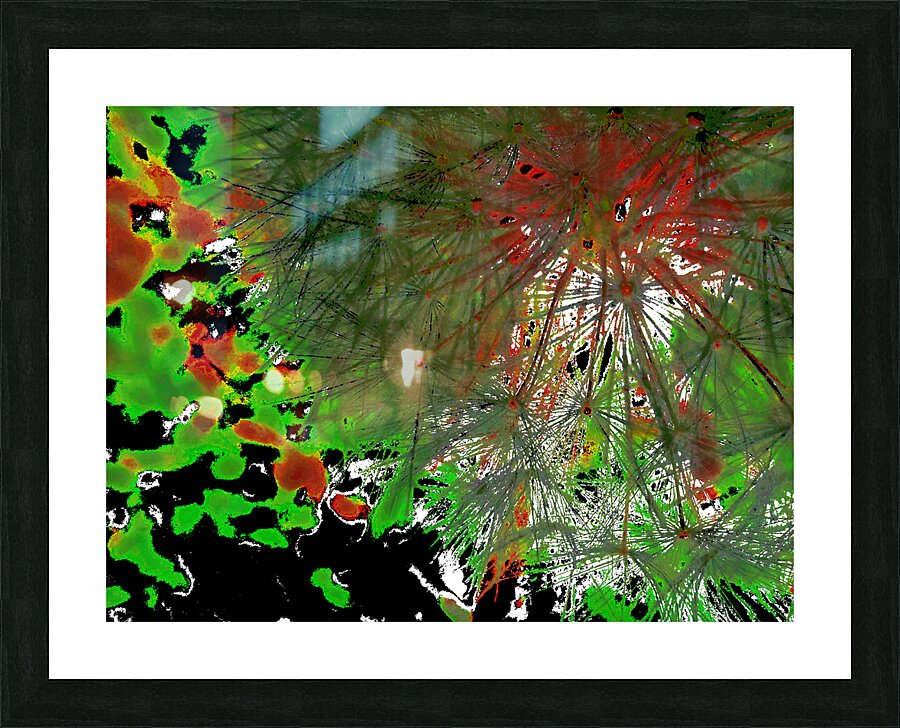 Abstract Vivid Red and Green Dandelion Corner Picture Frame print