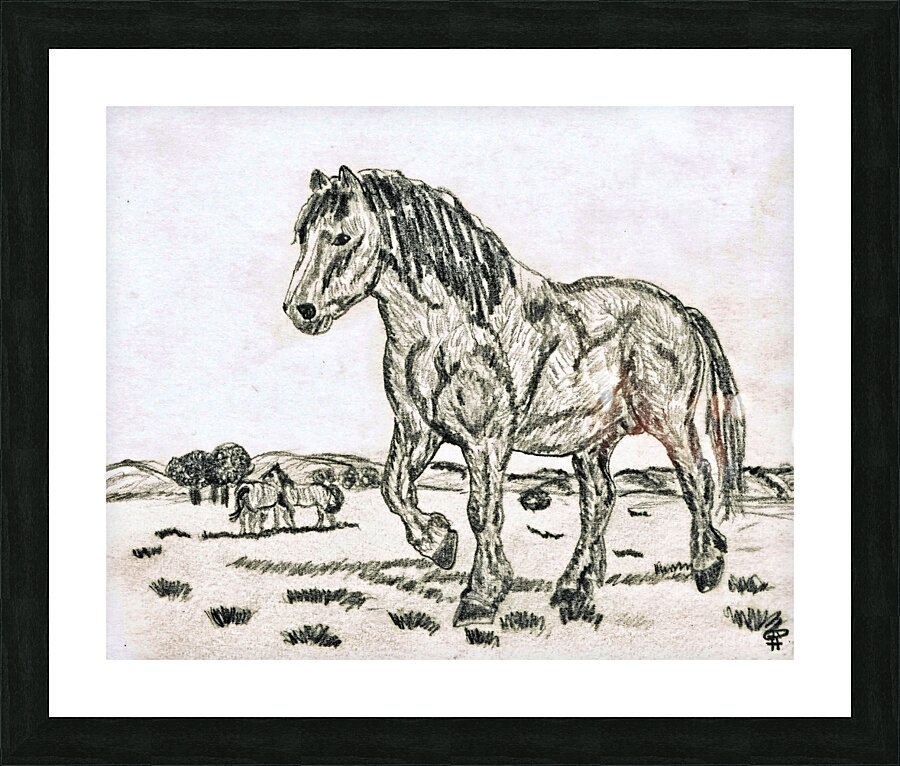 Fine Art print