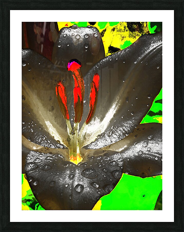 Abstract Vibrant Graffiti Lily Flower Picture Frame print