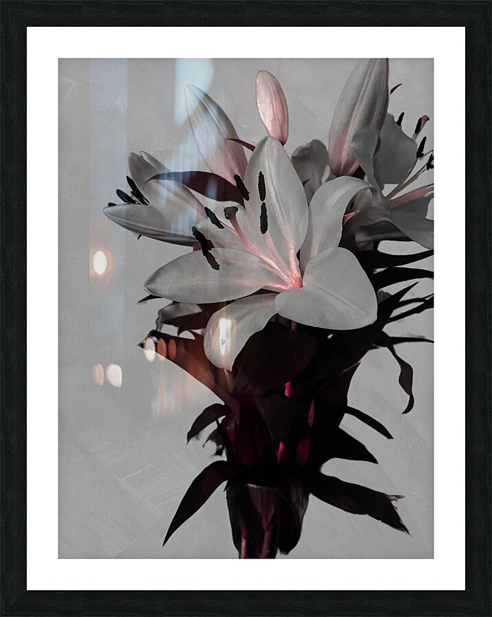 Abstract White Lilies on a Muted Background Picture Frame print