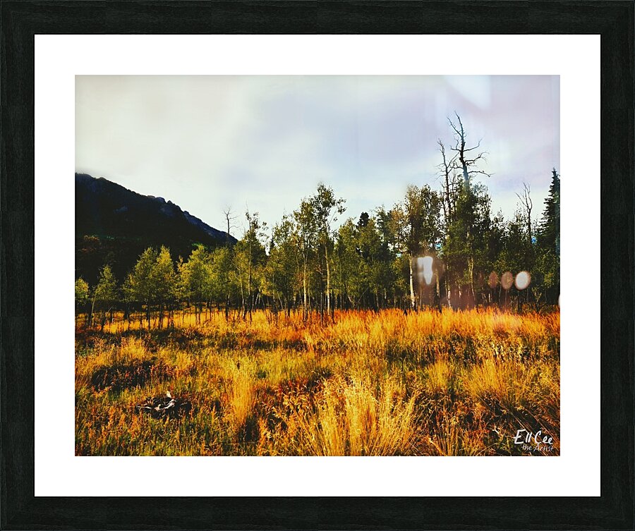 The Wicked Wood Picture Frame print