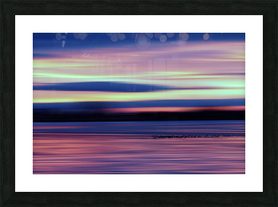 Good Morning Geese Picture Frame print