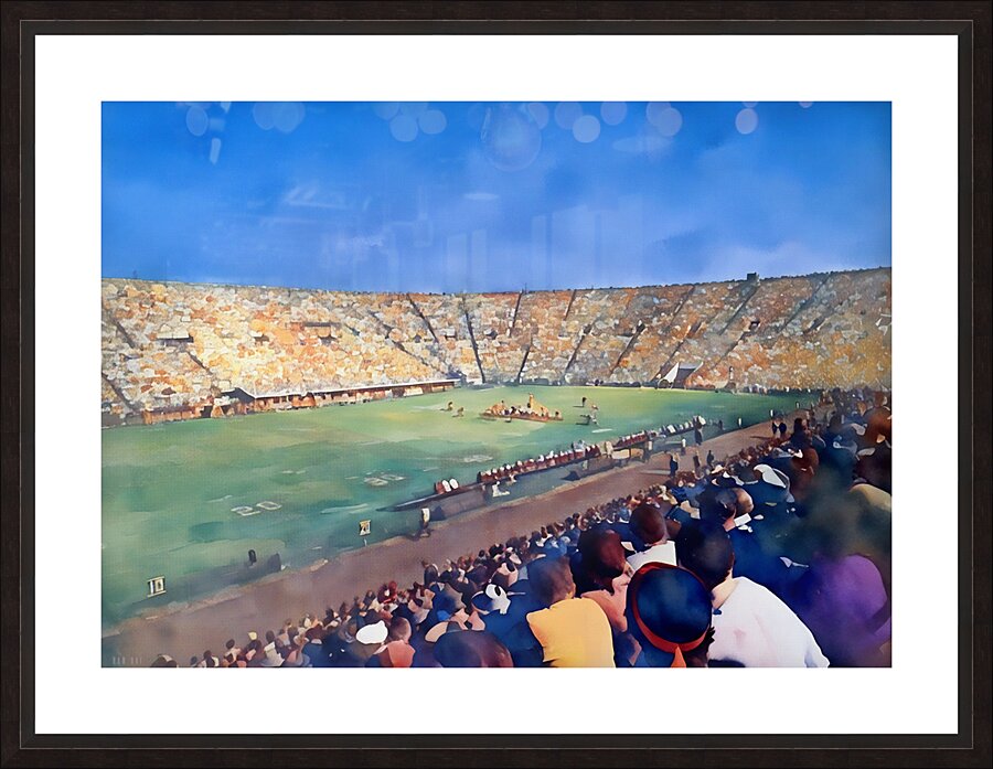 1956 tennessee football gameday Picture Frame print