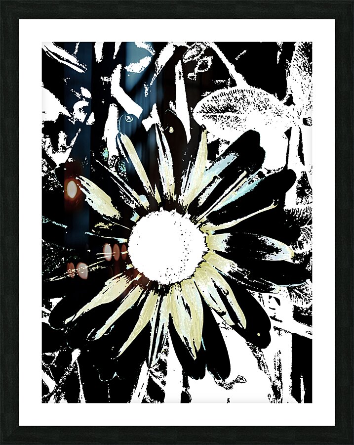 Abstract Black and White Daisy Flower Picture Frame print