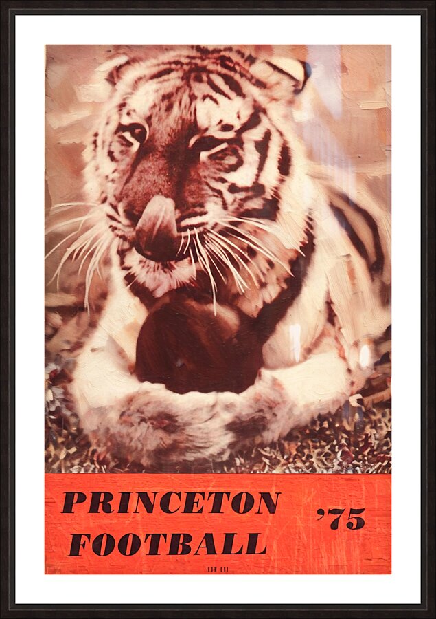 1975 princeton football art Picture Frame print