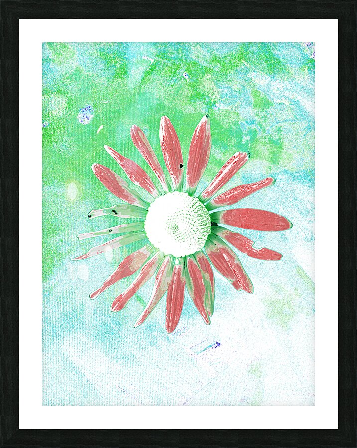 Abstract Pink Petaled Daisy Picture Frame print