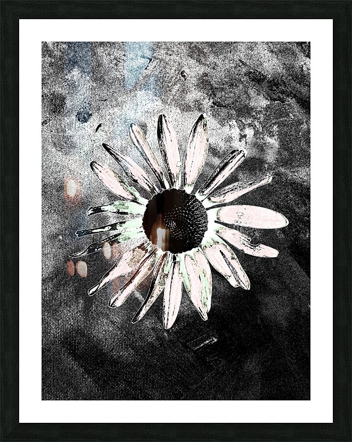 Abstract Single Daisy Picture Frame print