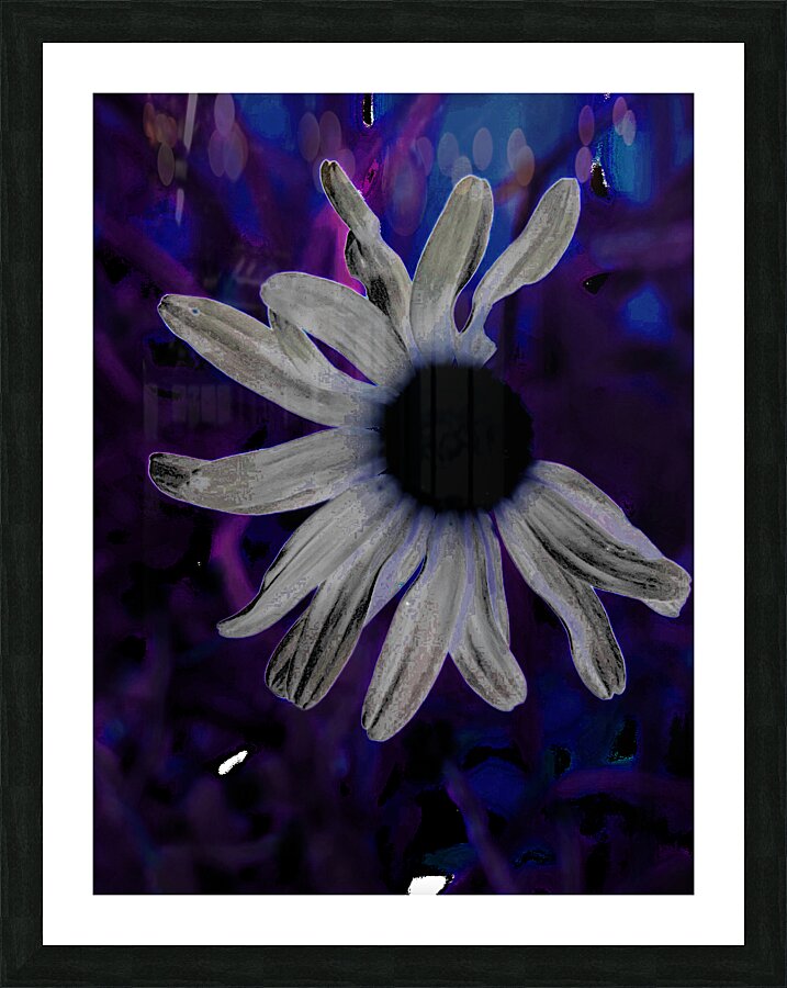 Abstract Neon Dark Daisy Picture Frame print