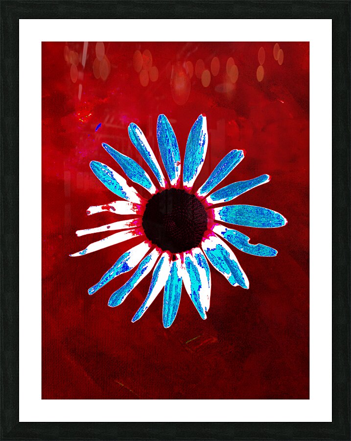Abstract Daisy Red Abstract Background Picture Frame print