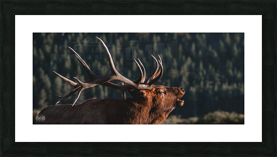 The Rutting of the Elks Picture Frame Printing