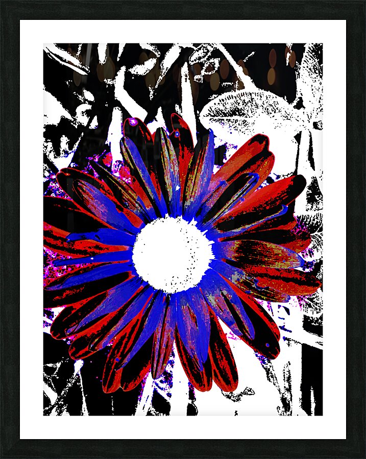 Abstract Vibrant Red and Blue Daisy Picture Frame print