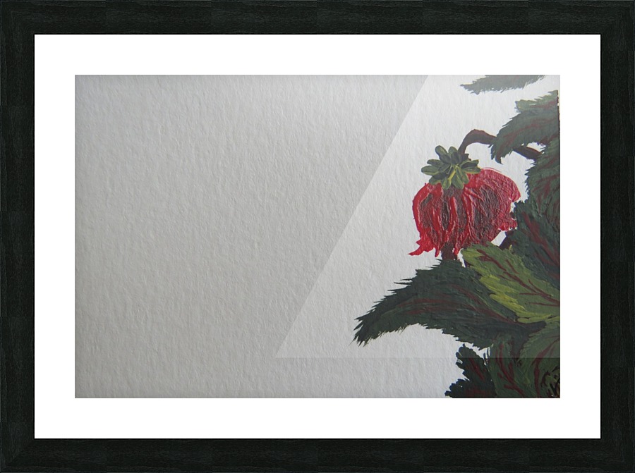  Fine Art print