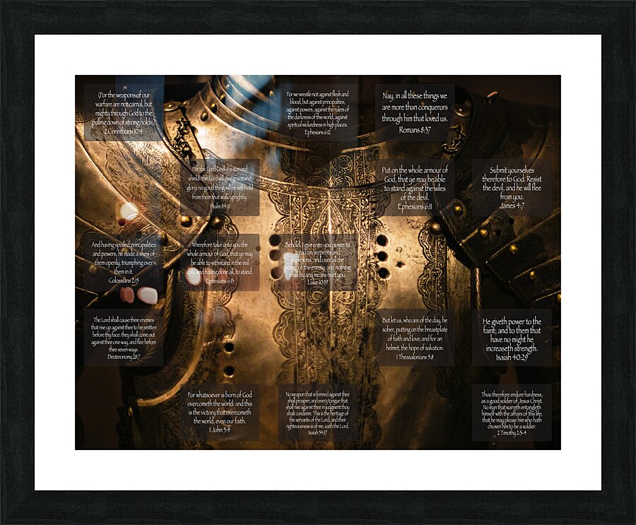 MNW2 - ARMOUR Picture Frame print