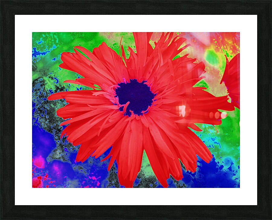 Abstract Psychedelic Daisy Picture Frame print
