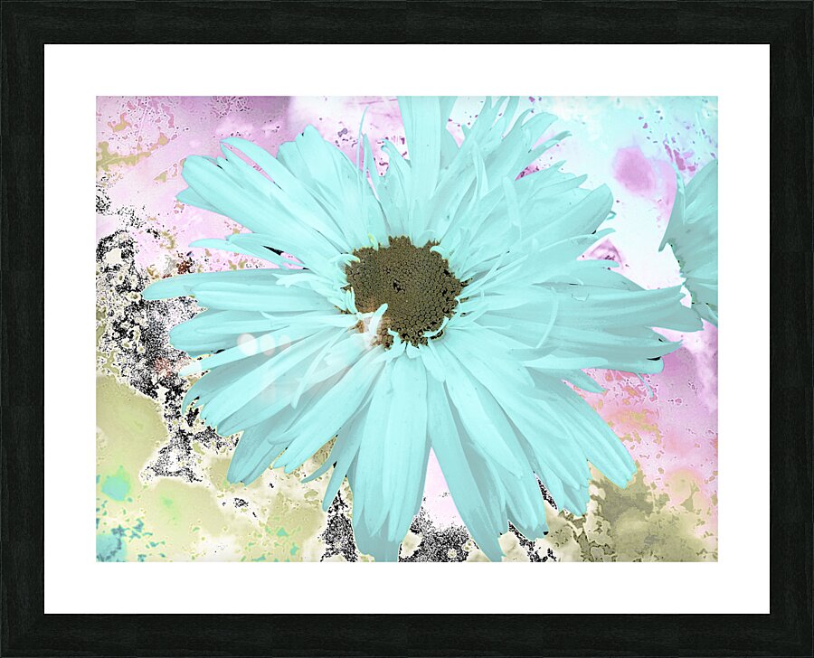 Abstract Pastel Daisy Flower Picture Frame print
