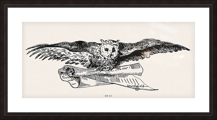 early 1900s owl wingfield Picture Frame print