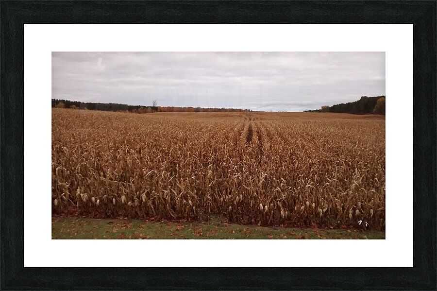  Fine Art print