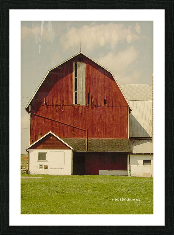  Fine Art print