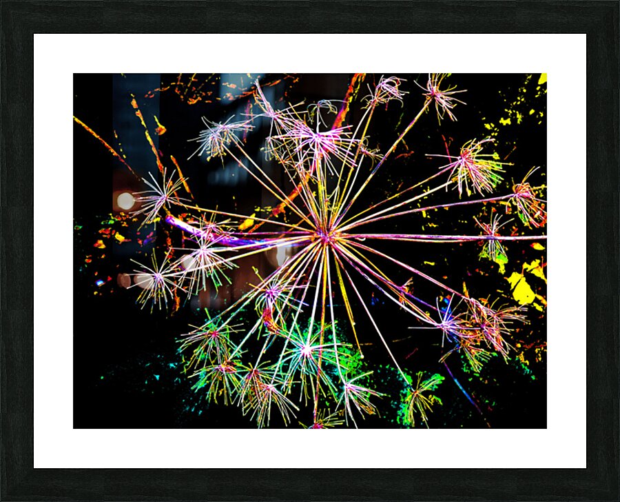  Abstract Colourful Angelica in the Evening Picture Frame print
