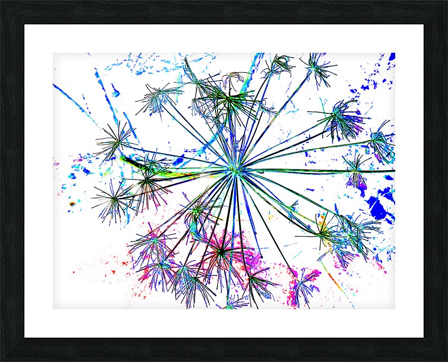 Abstract Colourful Angelica in the Morning Picture Frame print