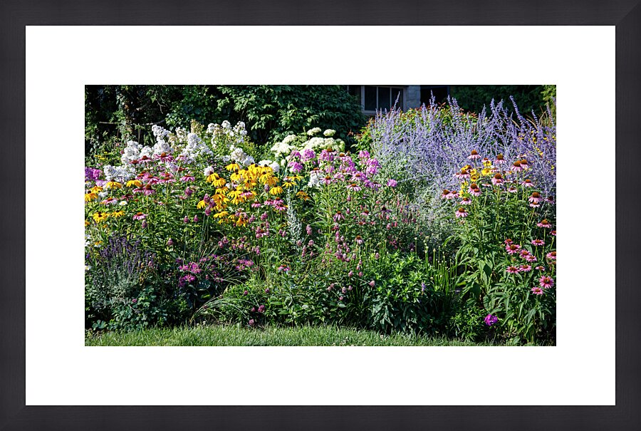 One of My favourite gardens Picture Frame print