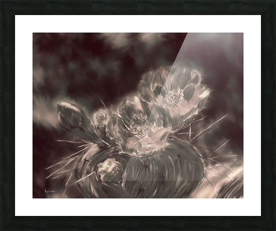 Dreams of Life Picture Frame print