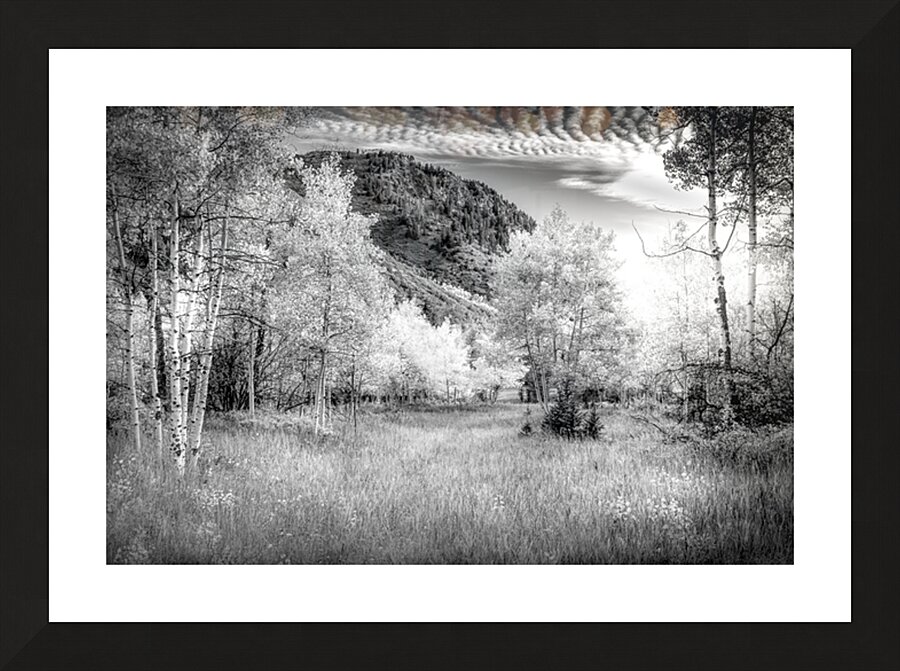 Snowmass Aspen Splendor 1 Picture Frame print