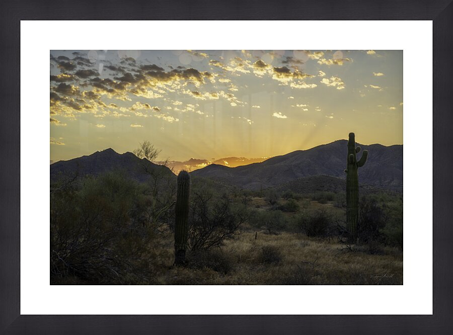 Sonoran Dawn Picture Frame print