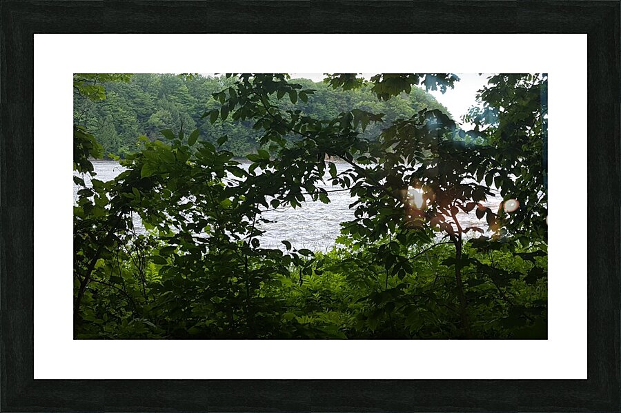 received 1592429961308042 Picture Frame print