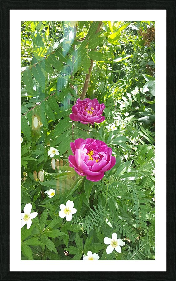 received 1064473248622939 Picture Frame print