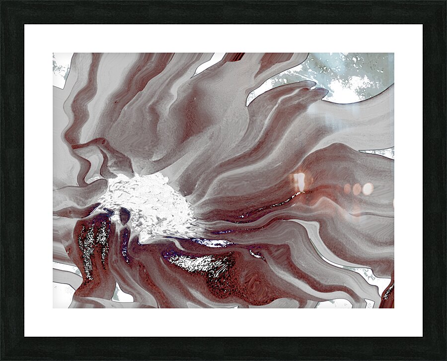 Abstract White and Grey Flowing Daisy Flower  Picture Frame print