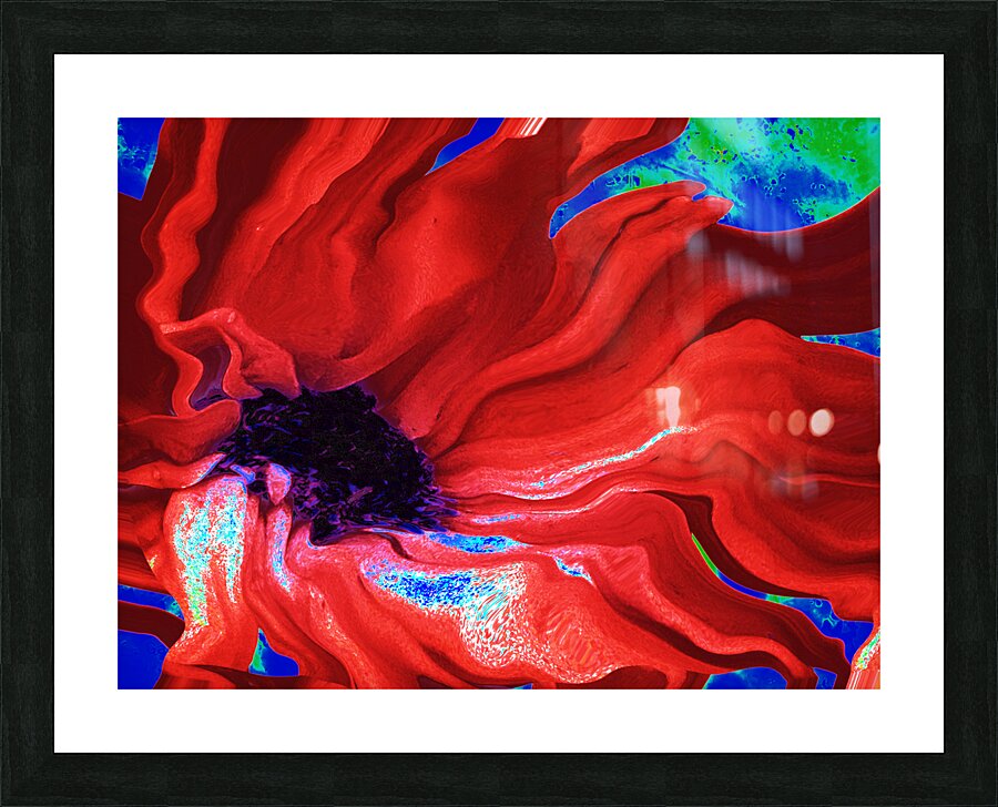 Abstract Dark Centred Red Flowing Daisy Flower Picture Frame print