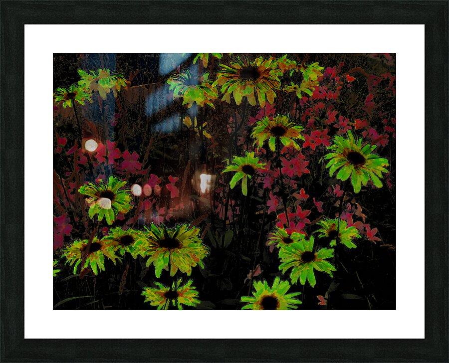 Abstract Surreal Daisy Garden Picture Frame print