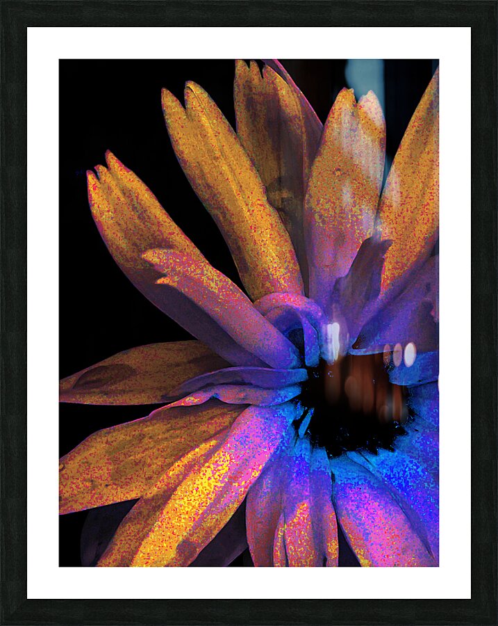 Abstract Daisy in Yellow Blue and Pink Picture Frame print