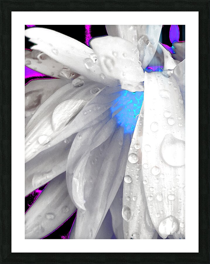 Abstract Daisy Blue Light Picture Frame print